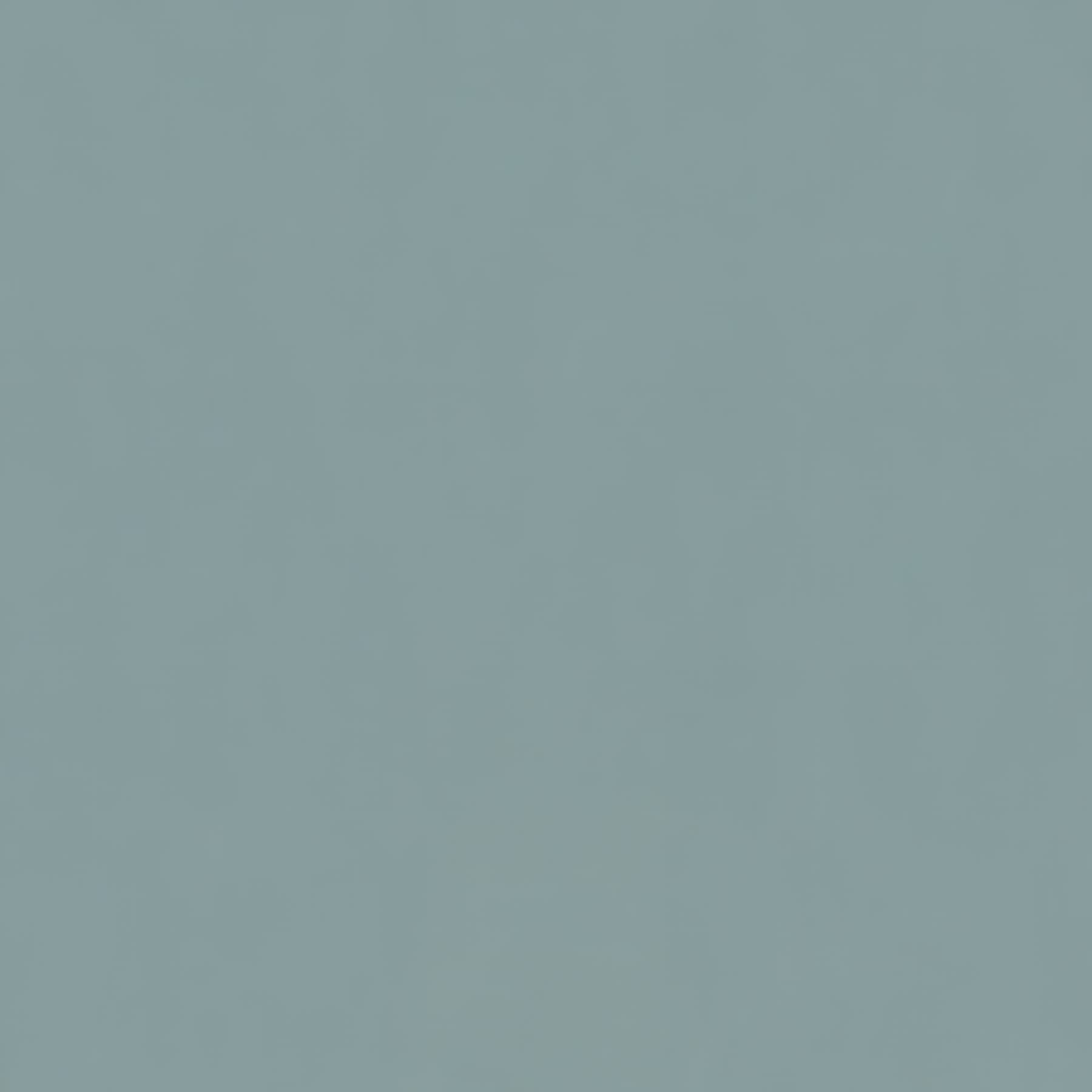 Panneau mural finition mat largeur 100 cm hauteur 255 cm épaisseur 3mm