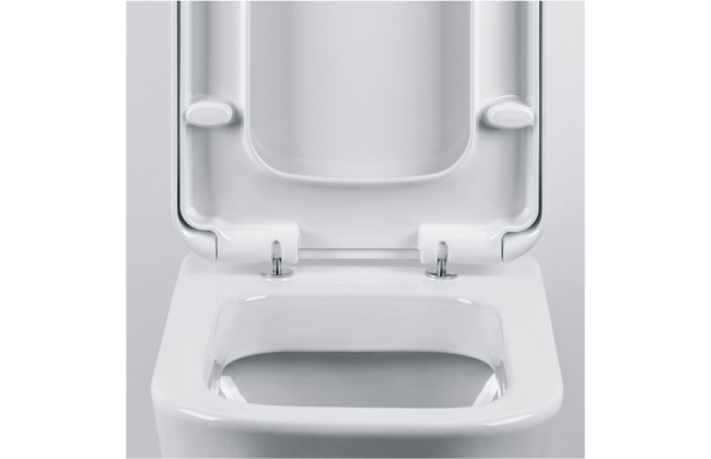 Abattant wc deals sanindusa