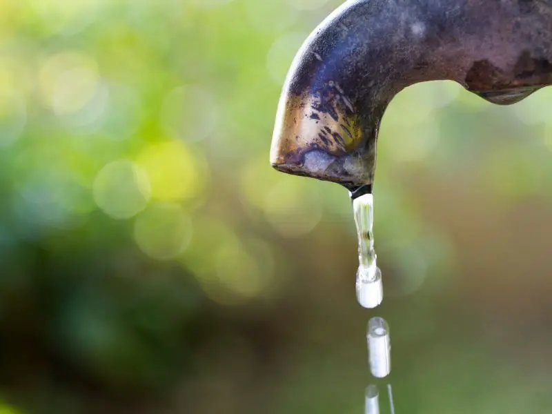 Économisez de l'eau : préservez la planète et votre portefeuille